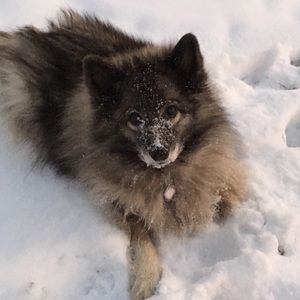 Meet your Posher, Summer